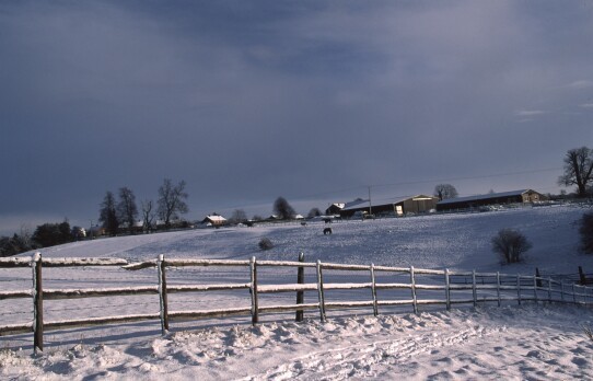 Stables on Archers Green Lane